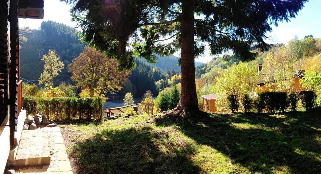 Schoene Aussicht Sankt Andreasberg Eksteriør billede